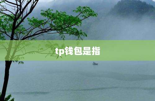 tp钱包是指