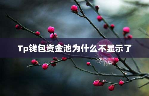 Tp钱包资金池为什么不显示了
