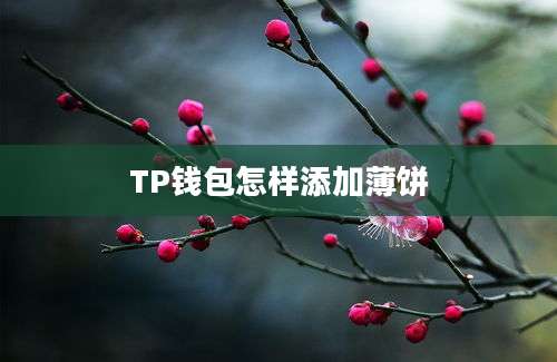 TP钱包怎样添加薄饼