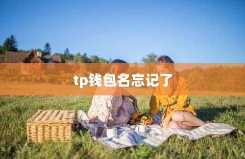 tp钱包名忘记了