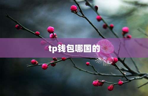 tp钱包哪国的