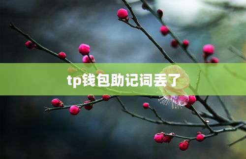 tp钱包助记词丢了
