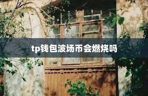 tp钱包波场币会燃烧吗