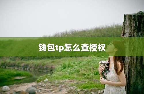 钱包tp怎么查授权