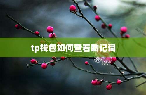 tp钱包如何查看助记词