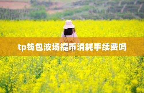 tp钱包波场提币消耗手续费吗