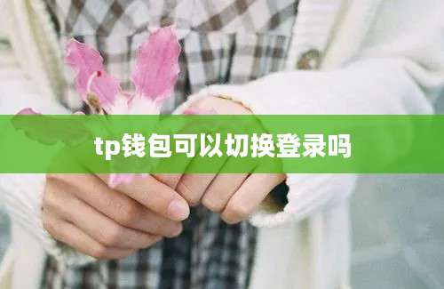 tp钱包可以切换登录吗