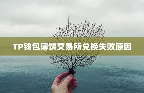 TP钱包薄饼交易所兑换失败原因