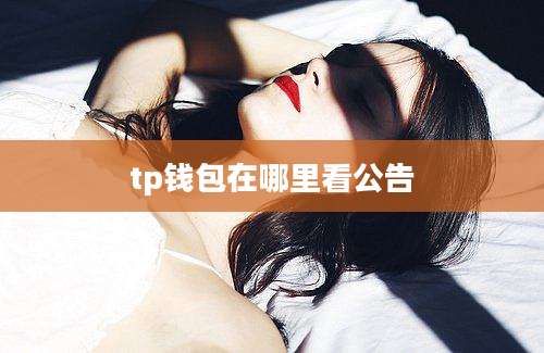tp钱包在哪里看公告