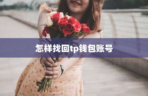 怎样找回tp钱包账号