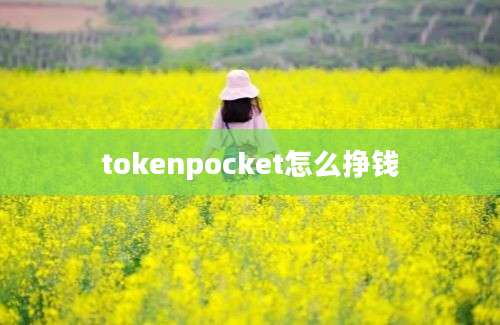 tokenpocket怎么挣钱