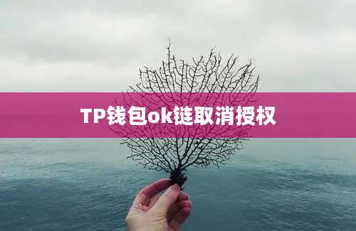 TP钱包ok链取消授权