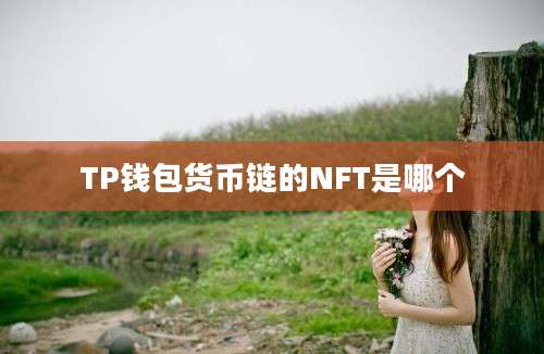 TP钱包货币链的NFT是哪个