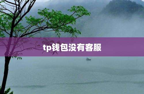 tp钱包没有客服