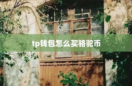 tp钱包怎么买骆驼币