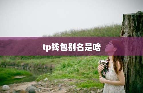 tp钱包别名是啥