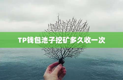 TP钱包池子挖矿多久收一次
