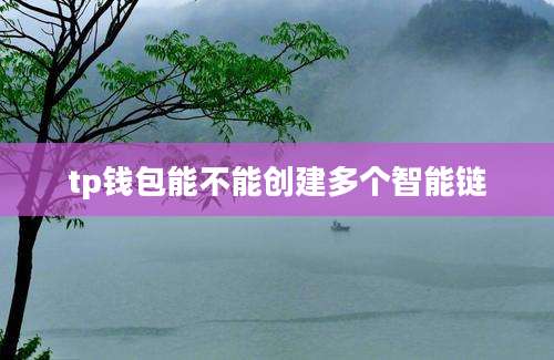 tp钱包能不能创建多个智能链