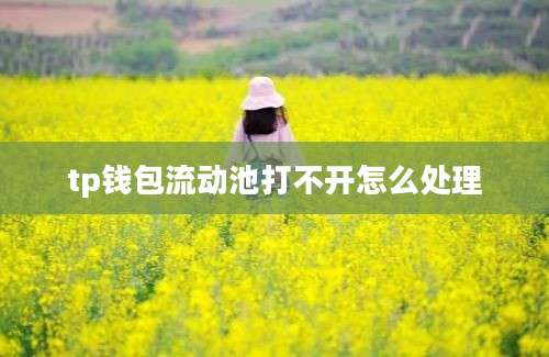 tp钱包流动池打不开怎么处理