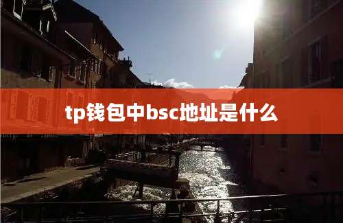 tp钱包中bsc地址是什么
