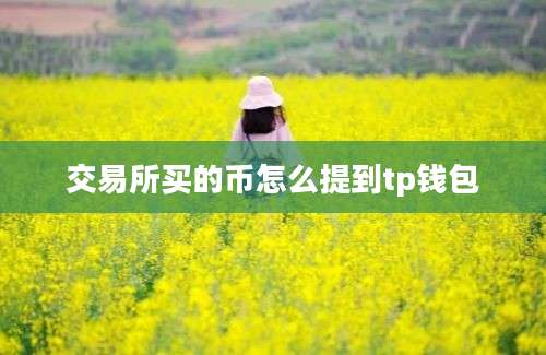 交易所买的币怎么提到tp钱包