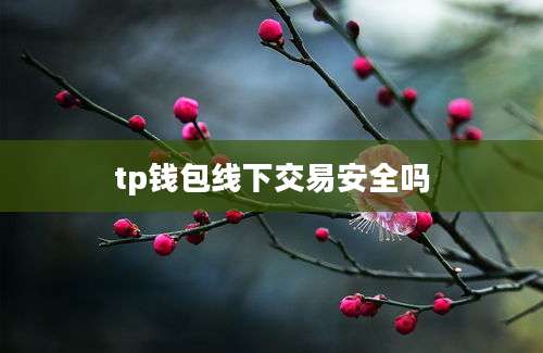 tp钱包线下交易安全吗
