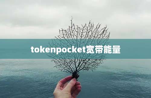 tokenpocket宽带能量