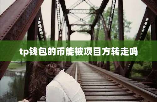 tp钱包的币能被项目方转走吗