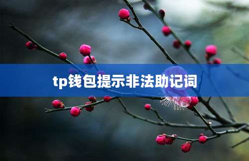 tp钱包提示非法助记词