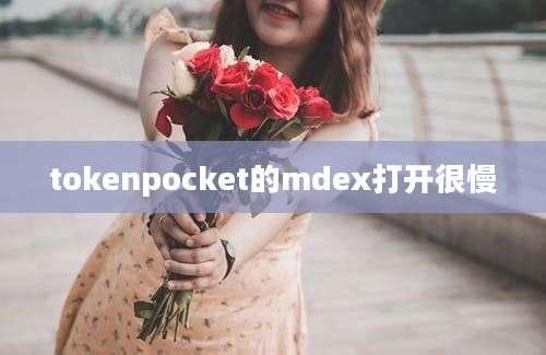 tokenpocket的mdex打开很慢