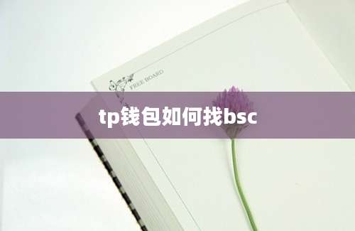 tp钱包如何找bsc