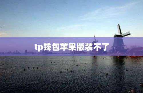 tp钱包苹果版装不了