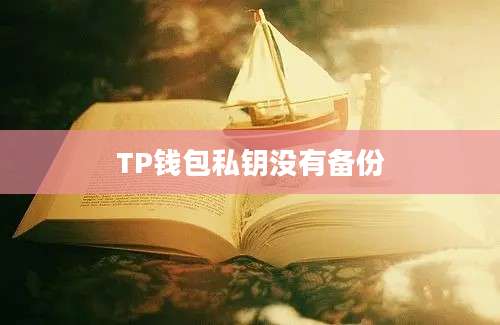 TP钱包私钥没有备份