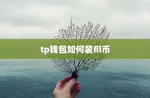 tp钱包如何装fil币