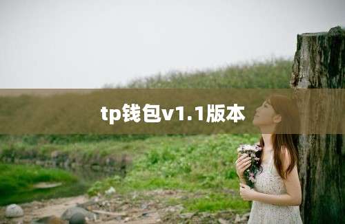 tp钱包v1.1版本