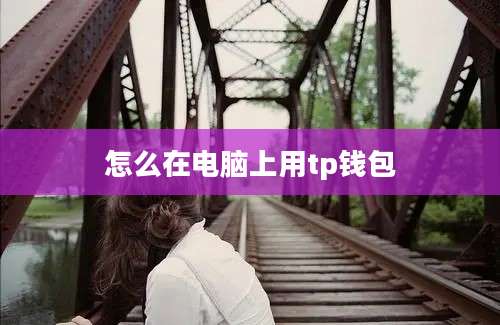 怎么在电脑上用tp钱包