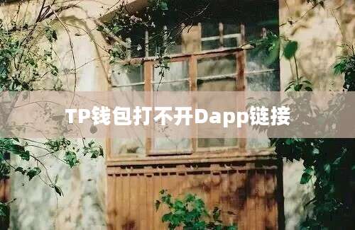 TP钱包打不开Dapp链接