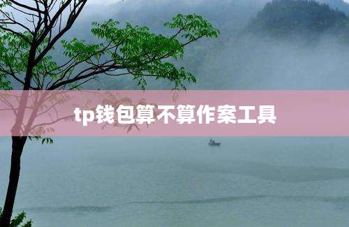 tp钱包算不算作案工具