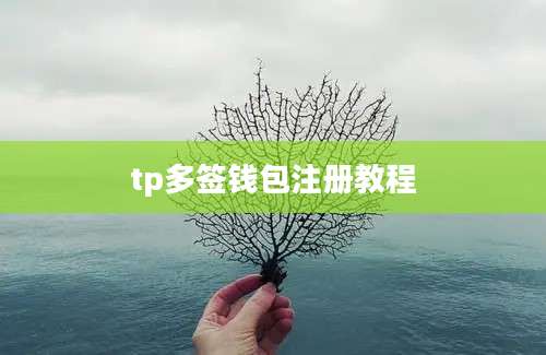 tp多签钱包注册教程