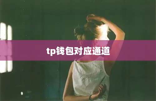 tp钱包对应通道