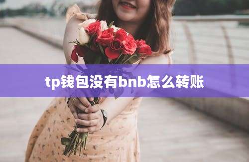 tp钱包没有bnb怎么转账