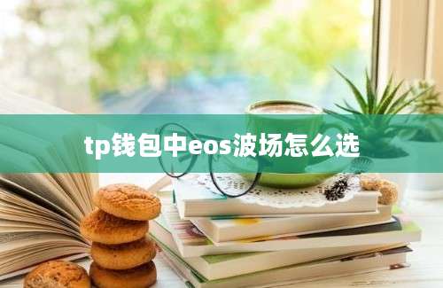 tp钱包中eos波场怎么选