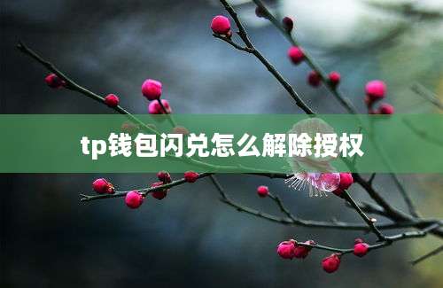 tp钱包闪兑怎么解除授权