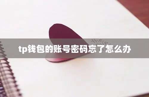 tp钱包的账号密码忘了怎么办