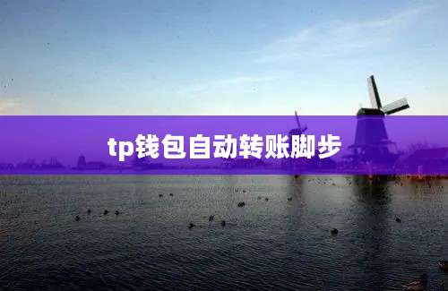 tp钱包自动转账脚步
