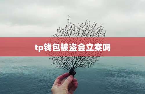 tp钱包被盗会立案吗