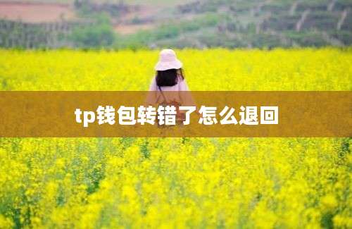 tp钱包转错了怎么退回