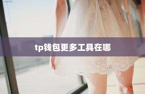 tp钱包更多工具在哪