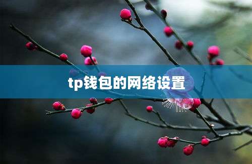 tp钱包的网络设置
