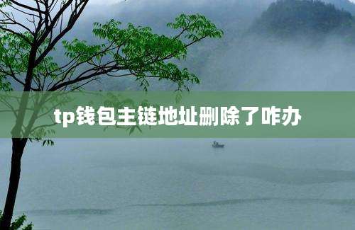 tp钱包主链地址删除了咋办